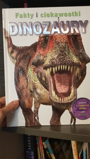 Zdjęcie oferty: Dinozaury Bardzo ciekawa książka 