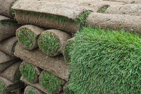 Zdjęcie oferty: Trawa z rolki trawnik w rolkach trawniki rolowane