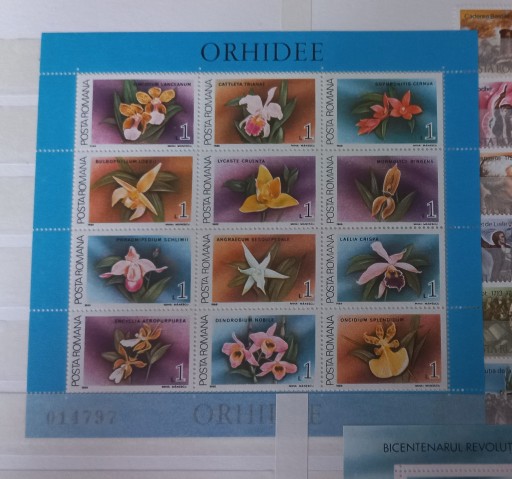 Zdjęcie oferty: Znaczki pocztowe - Orchidea - Rumunia **