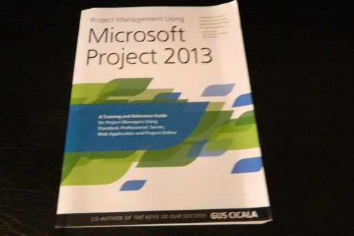 Zdjęcie oferty: Project Management Using Microsoft Project 2013