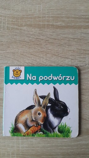 Zdjęcie oferty: Książka na podwórzu