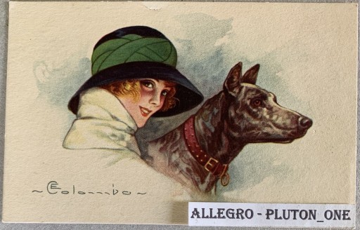 Zdjęcie oferty: 680. Pocztówka z psami  (około XX wiek)