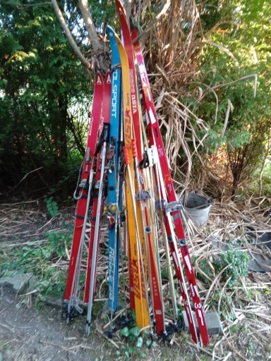 Zdjęcie oferty: Kolekcjonerowi tanio sprzedam stare narty, tylko 50zł para.