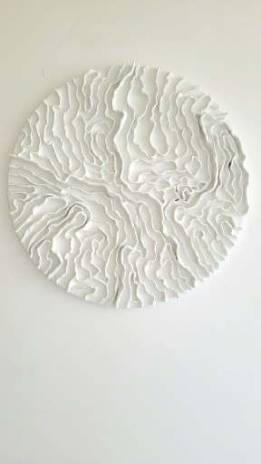 Zdjęcie oferty: Płaskorzeźba - relief - obraz 3d - obraz strukturalny 