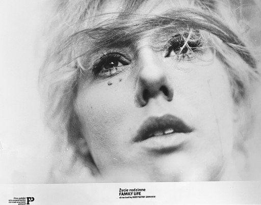 Zdjęcie oferty: MAJA KOMOROWSKA fotografia fotos film ŻYCIE RODZINNE 24x30