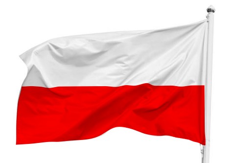 Zdjęcie oferty: Flaga Polski na Maszt 115x70 cm Narodowa 
