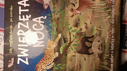 Zdjęcie oferty: Jak wygląda świat... po zmroku Zwierzęta nocą Lisa Regan