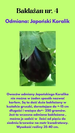 Zdjęcie oferty: Nasiona Bakłżanów Japoński Koralik 