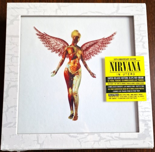 Zdjęcie oferty: Nirvana In Utero Box 30 Anniversary