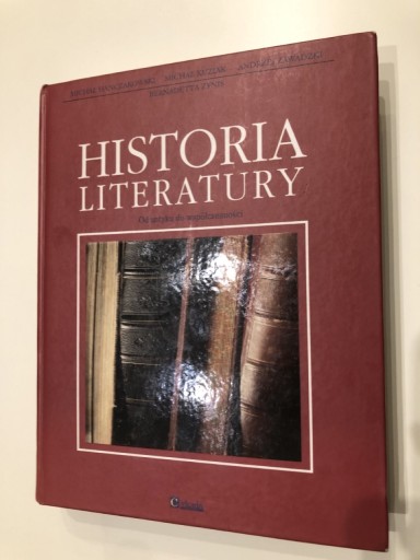 Zdjęcie oferty: Historia literatury, od antyku do współczesności