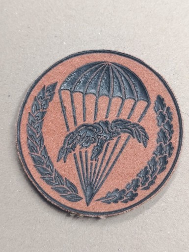 Zdjęcie oferty: Naszywka oznaką 6PDPD, typ III, 6daplot