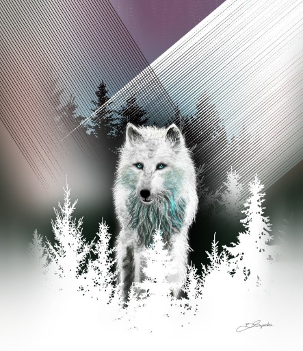 Zdjęcie oferty: Plakat biały wilk