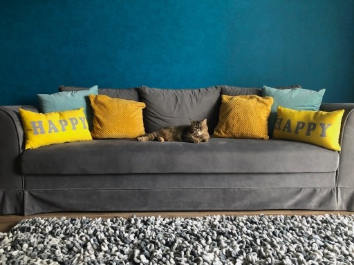Zdjęcie oferty: Sofa/kanapa rozkładana BRW, kolor szary
