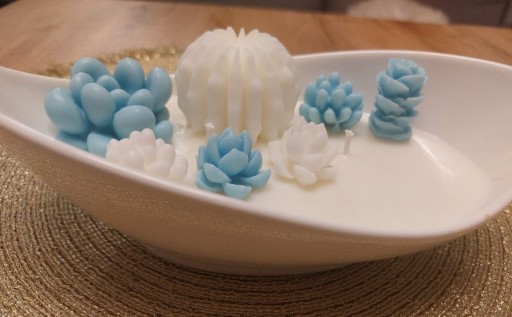 Zdjęcie oferty: Świeca sojowa sukulenty