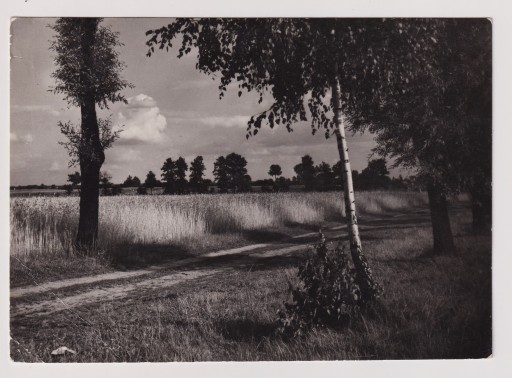 Zdjęcie oferty: Krotoszyn okolice 1969r. Nakład 1000 szt. 997A
