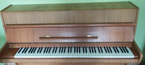 Zdjęcie oferty: Pianino M-105 Menuet Calisia Wałbrzych