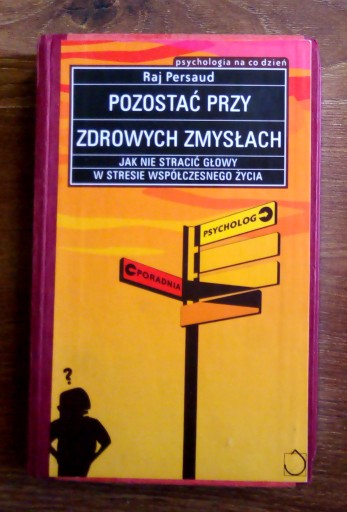 Zdjęcie oferty: Pozostać przy zdrowych zmysłach. Raj Persaud