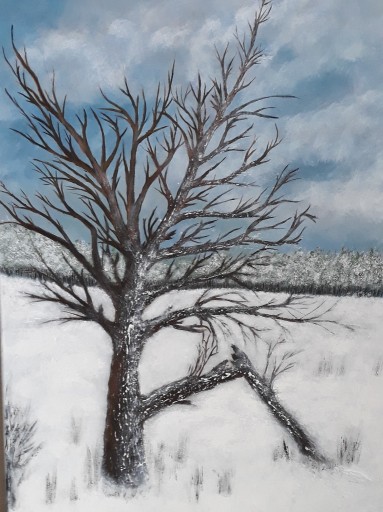 Zdjęcie oferty: obraz,drzewo zimą, natura obraz ,zima, drzewo