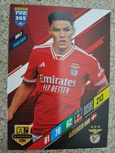 Zdjęcie oferty: Panini Fifa 365 2024,BEN2, Bah, Team Mate