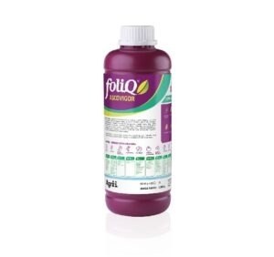 Zdjęcie oferty: FoliQ Ascovigor 1 l