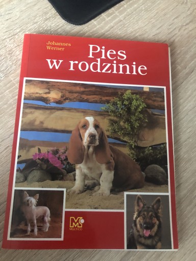 Zdjęcie oferty: Pies w rodzinie 