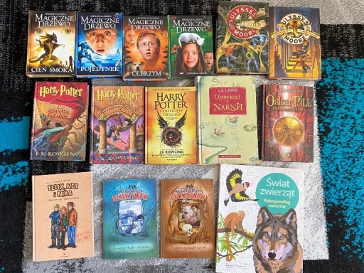 Zdjęcie oferty: Zestaw 14 książęk dla dzieci m.in. Harry Potter