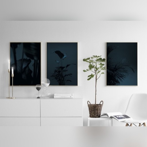 Zdjęcie oferty: Black Plant, Plakat 