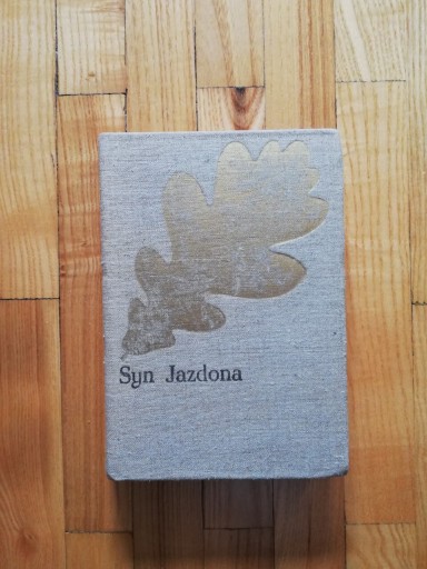 Zdjęcie oferty: książka "Syn Jazdona" Józef Ignacy Kraszewski 