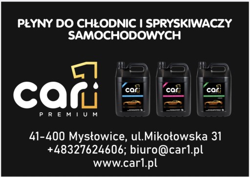 Zdjęcie oferty: CAR1 Zimowy płyn do spryskiwaczy samochodowyc -22