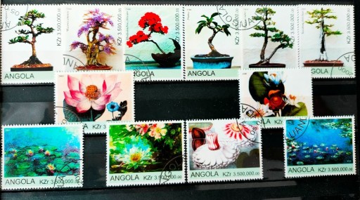 Zdjęcie oferty: kwiaty Angola zbiorek