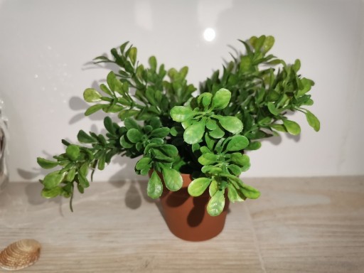 Zdjęcie oferty: Stuczna roślina bukszpan 15 cm, Nowe 