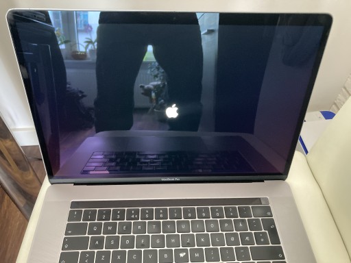 Zdjęcie oferty: MacBook Pro A1990 skrzydło matryca