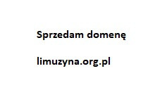 Zdjęcie oferty: domena limuzyna.org.pl