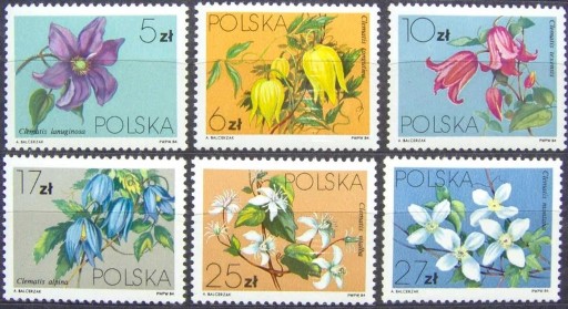 Zdjęcie oferty: Fi 2758-2763 **   Powojniki 