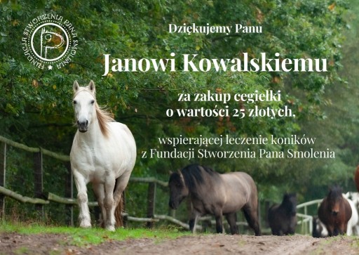 Zdjęcie oferty: Cegiełka wspierająca leczenie koników 