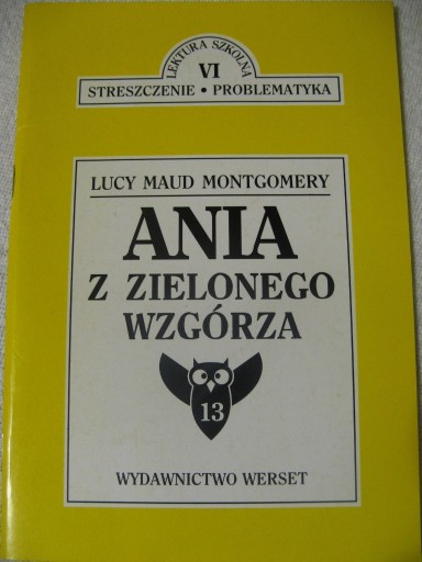 Zdjęcie oferty: Ania z Zielonego Wzgórza – Streszczenie