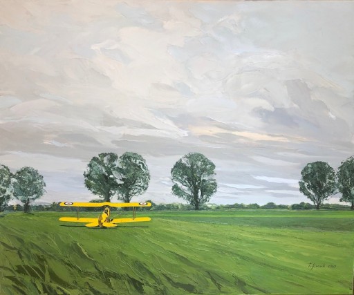 Zdjęcie oferty: Obraz olejny 100x120 T.Kossak Tiger Moth