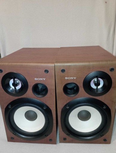 Zdjęcie oferty: Kolumny Sony SS-CSPZ70 – sprawne, czysty dźwięk, pilot gratis