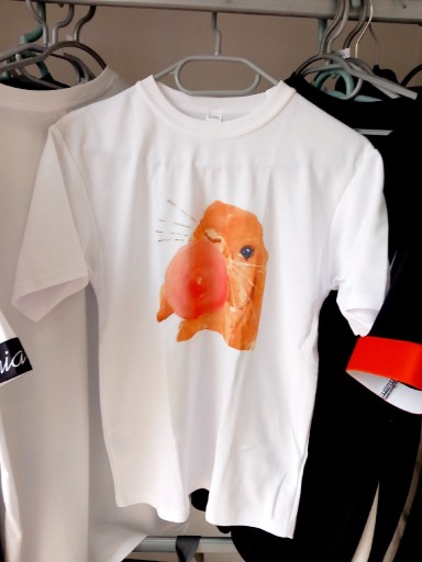 Zdjęcie oferty: Koszulka królik świnka morska rozmiar M lato zając