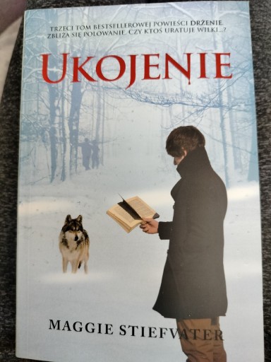 Zdjęcie oferty: Ukojenie - Maggie Stiefvater 