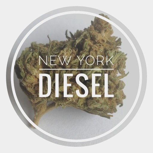 Zdjęcie oferty: "NYC Diesel" CBD 16% susz konopny 3g