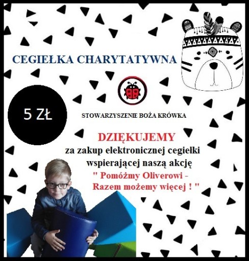 Zdjęcie oferty: Cegiełka charytatywna