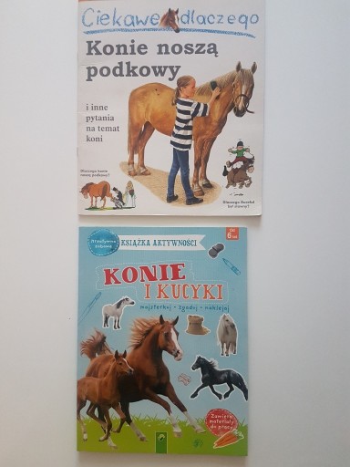 Zdjęcie oferty: KONIE I KUCYKI,CIEKAWE DLACZEGO KONIE NOSZĄ PODKOW