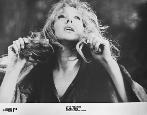 Zdjęcie oferty: MAJA KOMOROWSKA fotografia fotos film ŻYCIE RODZINNE 24x30