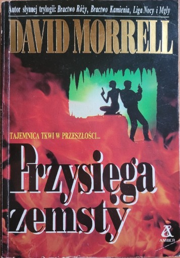 Zdjęcie oferty: Przysięga zemsty David Morrell