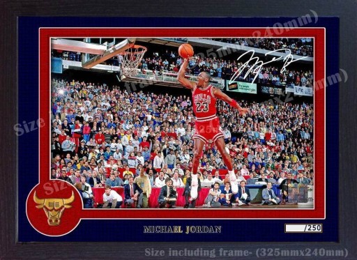 Zdjęcie oferty: NBA Chicago Bulls Michael Jordan MJ23 Ramka