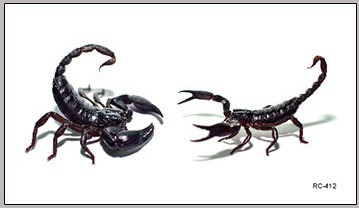 Zdjęcie oferty: Tatuaż Zmywalny Skorpion 2 Skorpiony 6 x 10,5cm