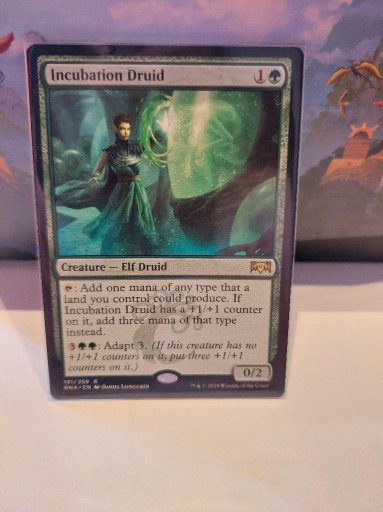 Zdjęcie oferty: MTG: Incubation Druid *(131/259)