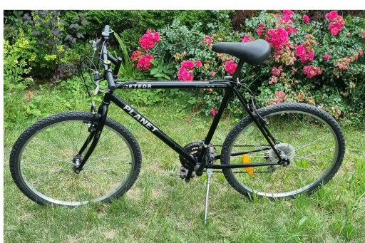 Zdjęcie oferty: Rower marki Planet Meteor