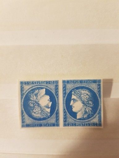 Zdjęcie oferty: Stara Francja(Parka odwrócona)2